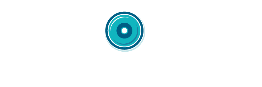 Home - birdseye security